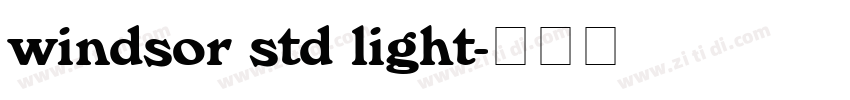 windsor std light字体转换
